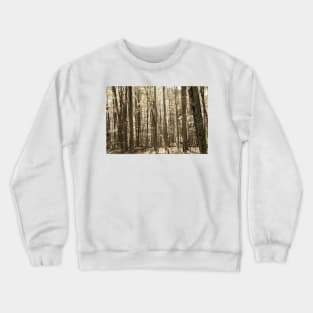 Autumn deep in forest scene on a trail in New England Crewneck Sweatshirt